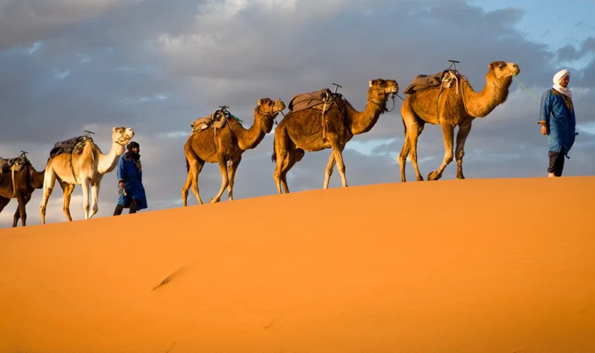 Exploring Untravelled Destinations