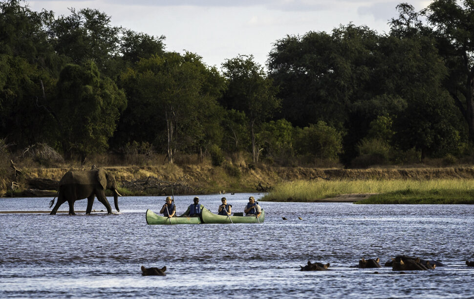 10 Essential Clothing Tips for an African Safari