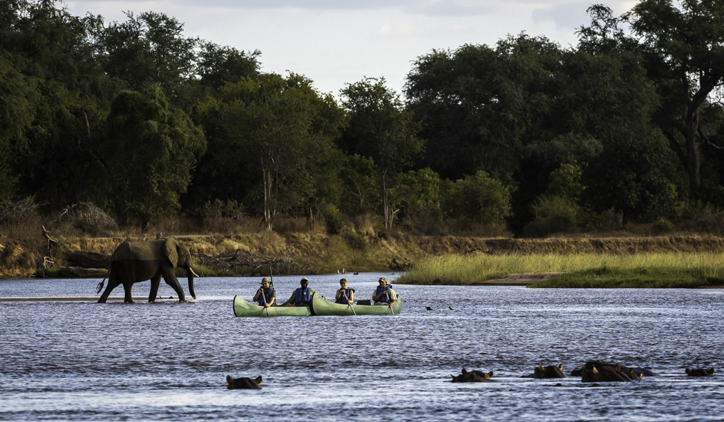 10 Essential Clothing Tips for an African Safari