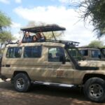 Bush to beach safari adventure