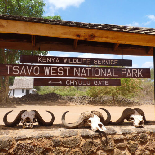 Rustic Safari Experience