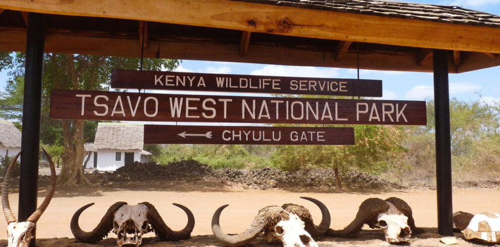Rustic Safari Experience