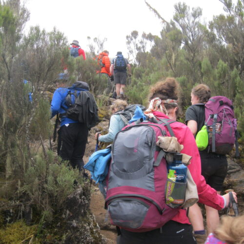 Mount Kenya Climbing Safari
