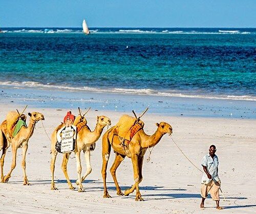 Mombasa Beach Holiday