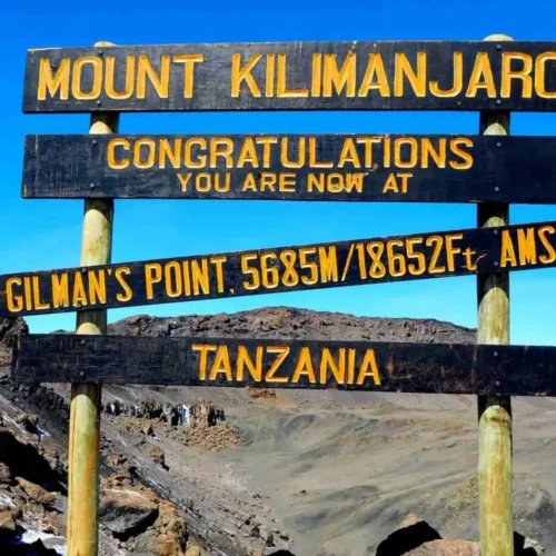 Mount Kilimanjaro climb