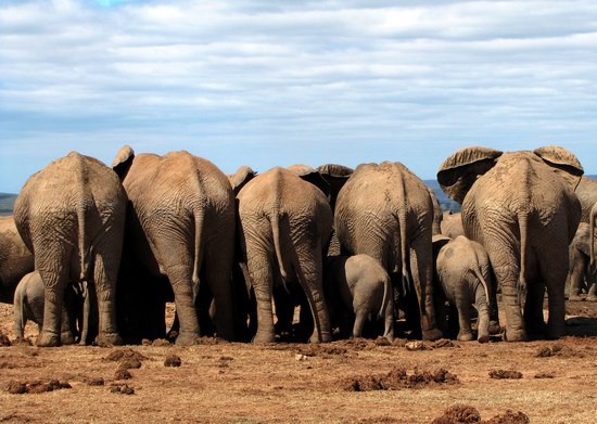 SouthAfrica Experience