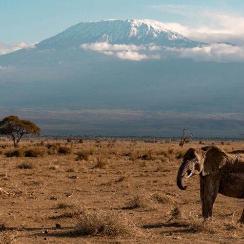 Nature Bound Africa's Aberdares to Samburu Safari 