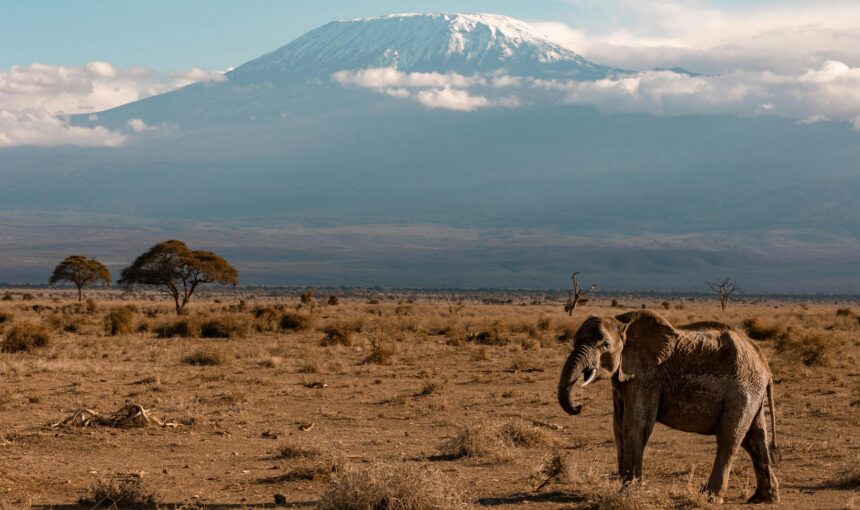 Aberdares to Samburu Safari 5-day journey