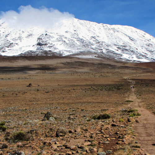 kilimanjaro desert