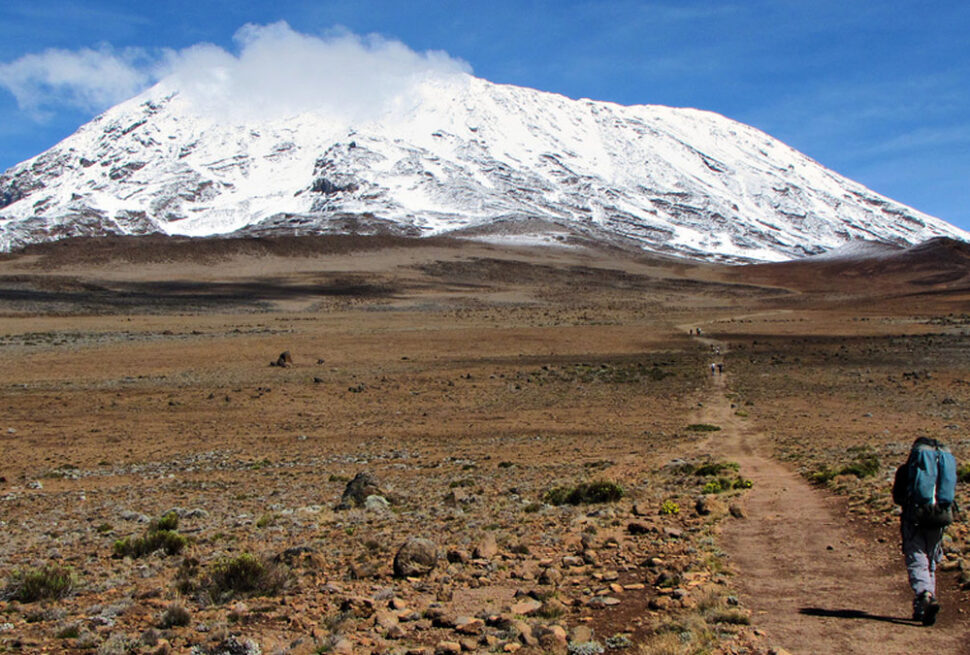 kilimanjaro desert