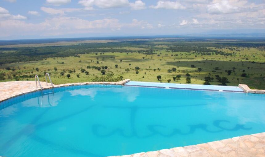Contact a Safari Company
