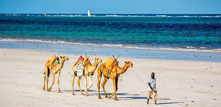 Kenya Safari FAQs