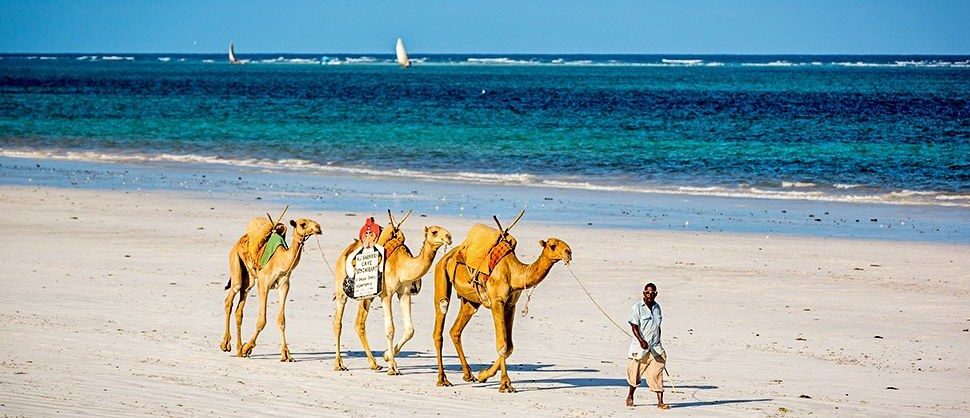 What is the best time to go on a Kenya safari?