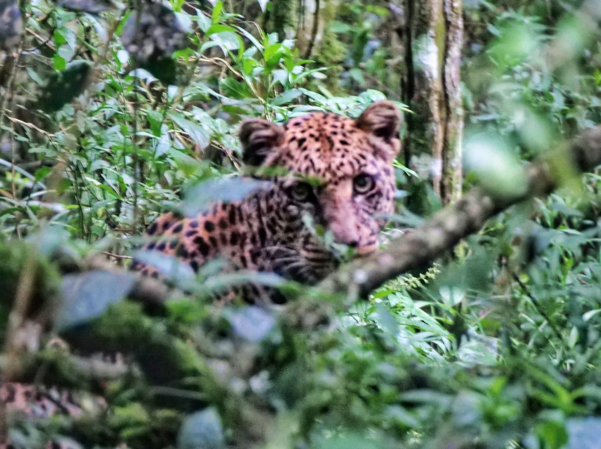 Lake Nakuru National Park – Rhino Safari, Flamingos & Rift Valley Wildlife in Kenya