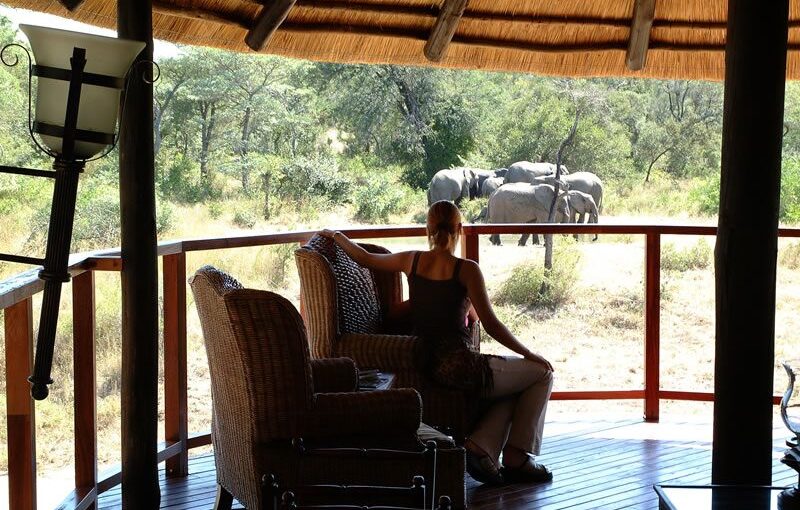 Discover the Ultimate Solo Safari Experience