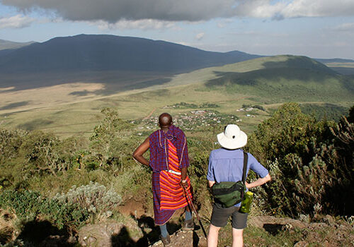 A Honeymoon to Remember Exploring the Maasai Mara