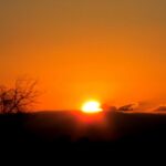 Nairobi National Park – Wildlife Safari Next to Kenya’s Capital City