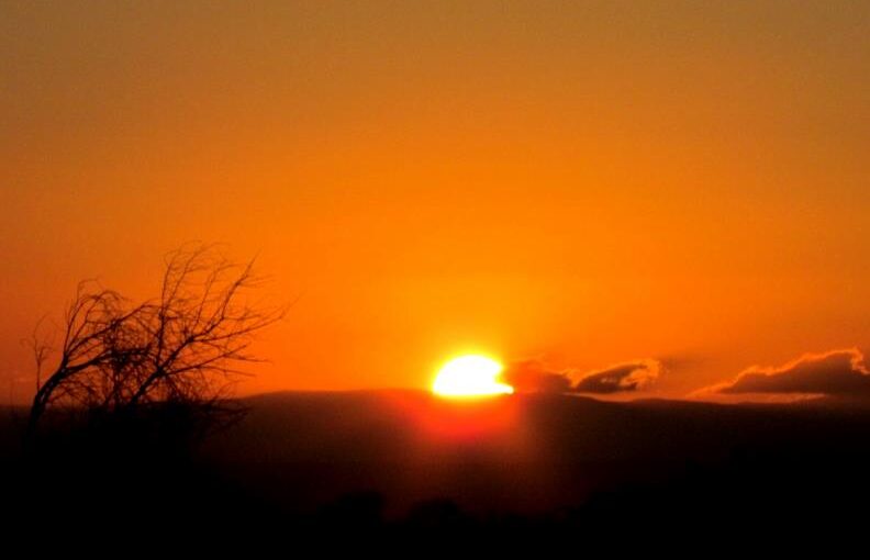 Nairobi National Park