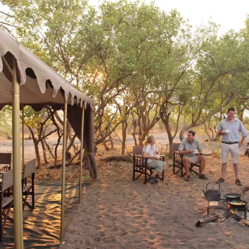 Masai Mara Safari Guide