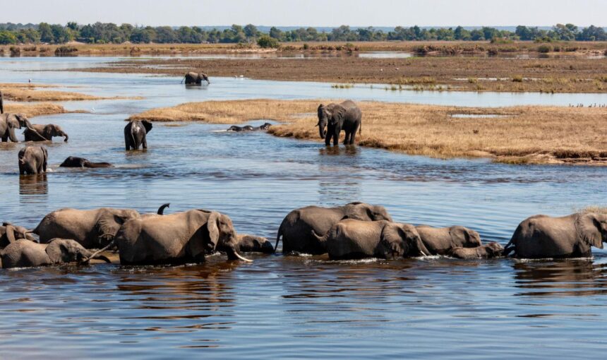 Botswana Destination Overview