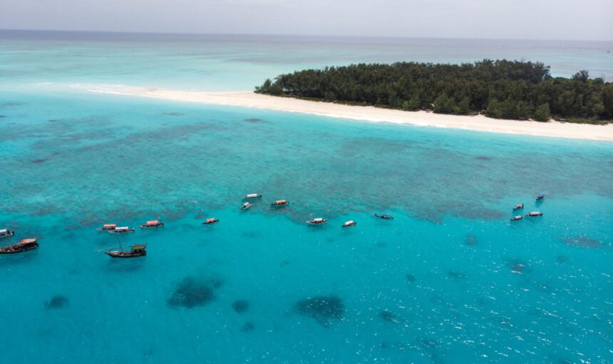 Snorkeling in Zanzibar