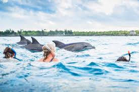 Kizimkazi Dolphin Tour Snorkeling