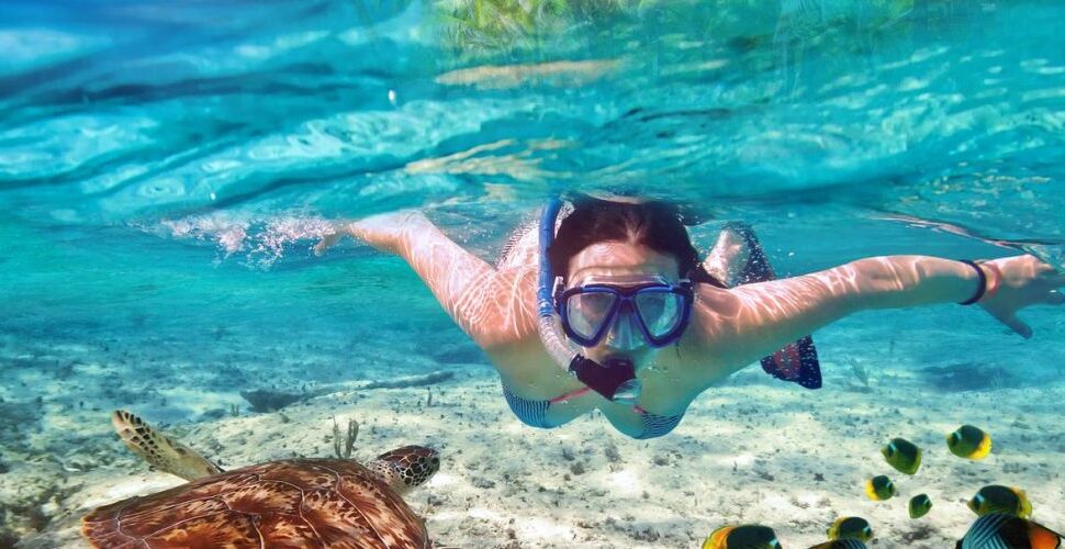Malindi Marine National Park & Reserve – Snorkeling, Coral Reefs & Coastal Safari in Kenya