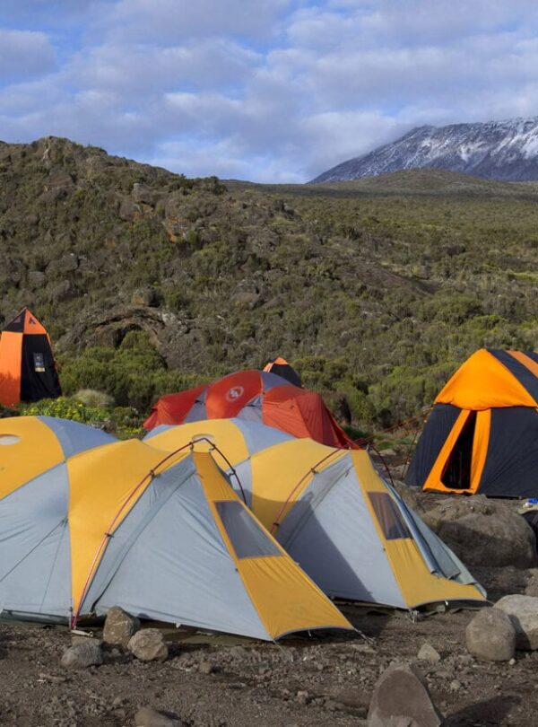 Kilimanjaro Climbing and Safari