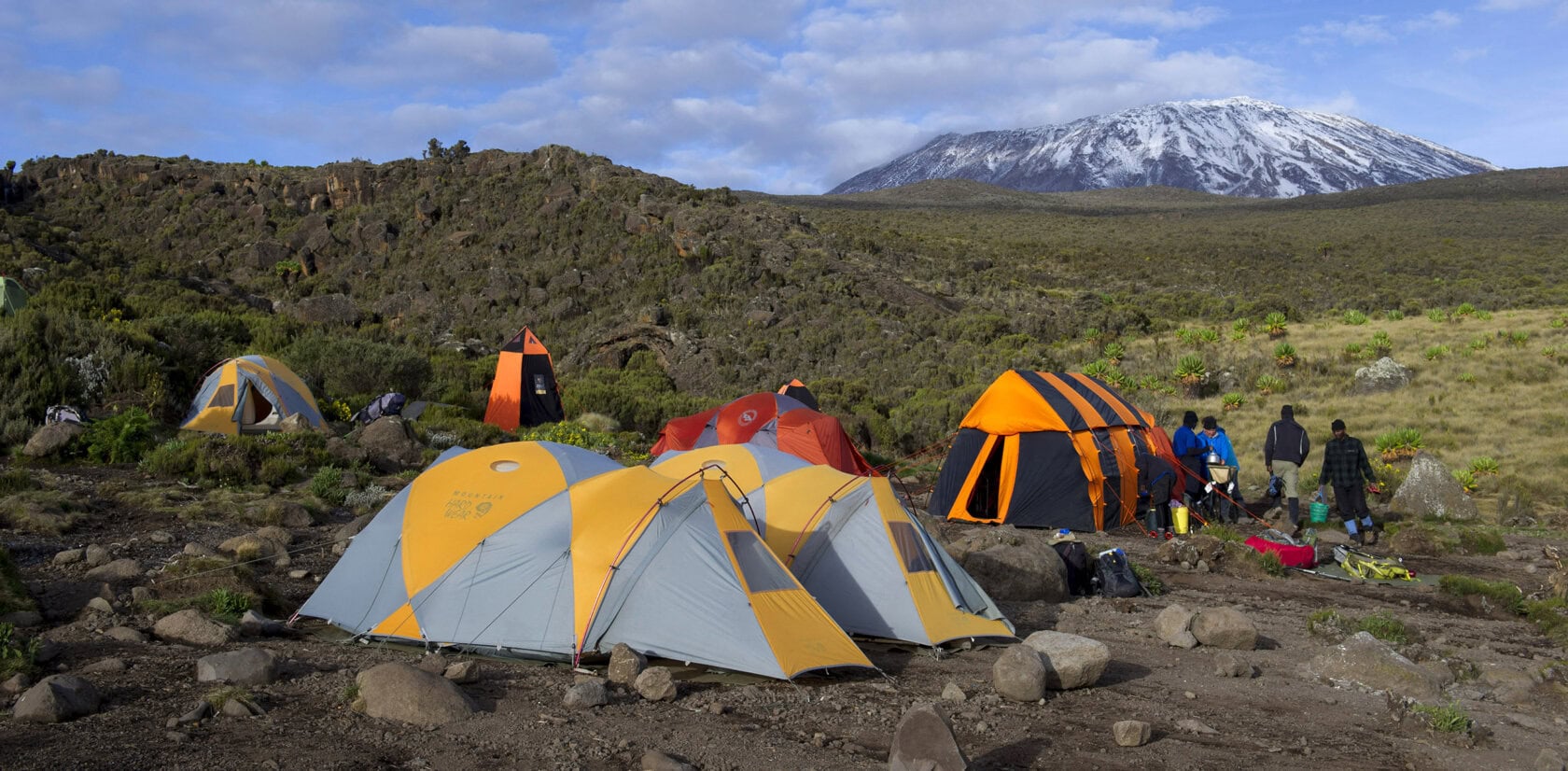 Kilimanjaro Climbing and Safari