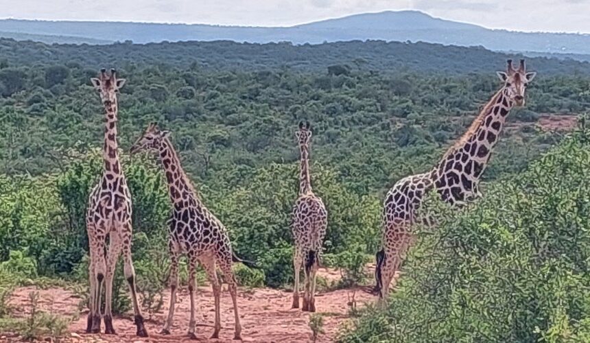 MWEA NATIONAL RESERVE