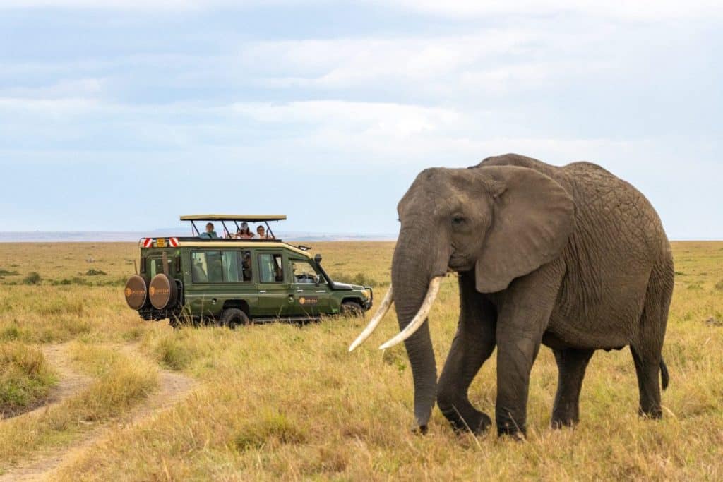 Mwingi Game Reserve – Remote Wilderness & Adventure Safari in Kenya