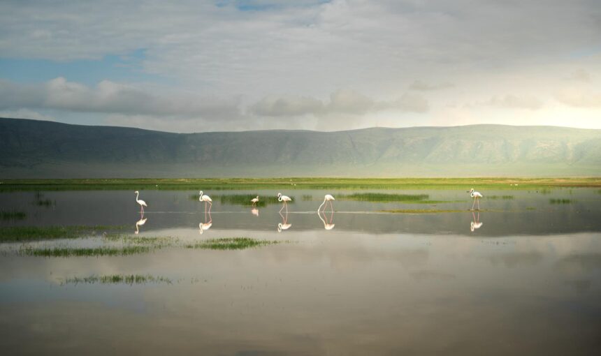 Ngorongoro Crater Tanzania