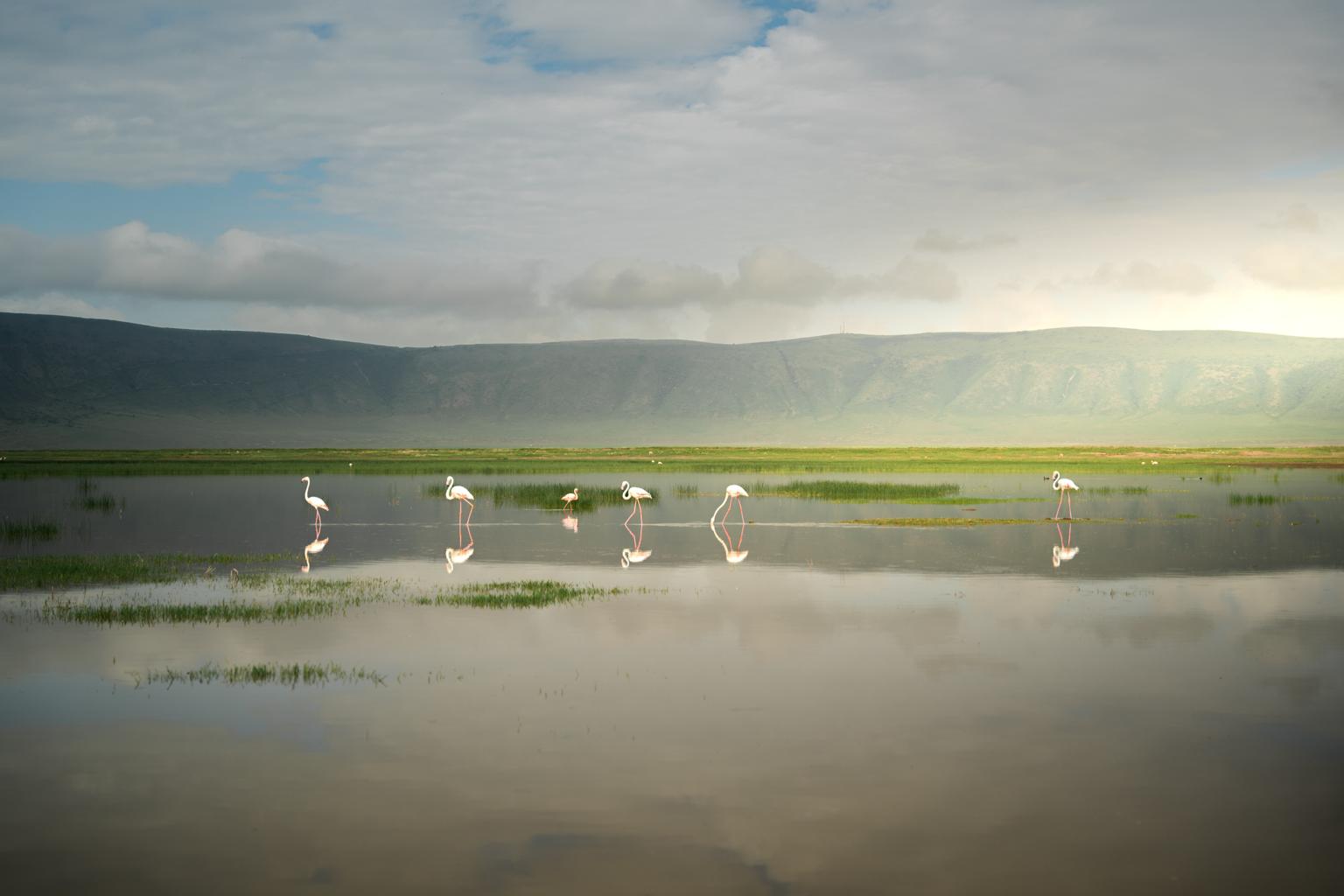 Ngorongoro Crater Tanzania
