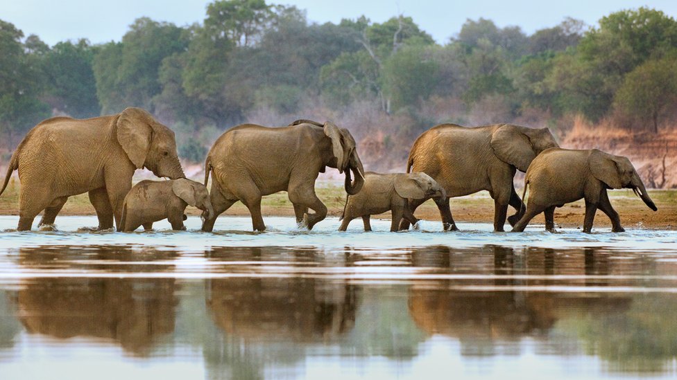 Nyerere National Park (Selous), Tanzania – Africa’s Largest Wildlife Sanctuary