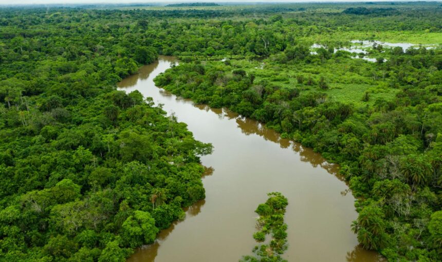 Republic of Congo Brazzaville Gorilla Trekking & Congo Basin Wilderness