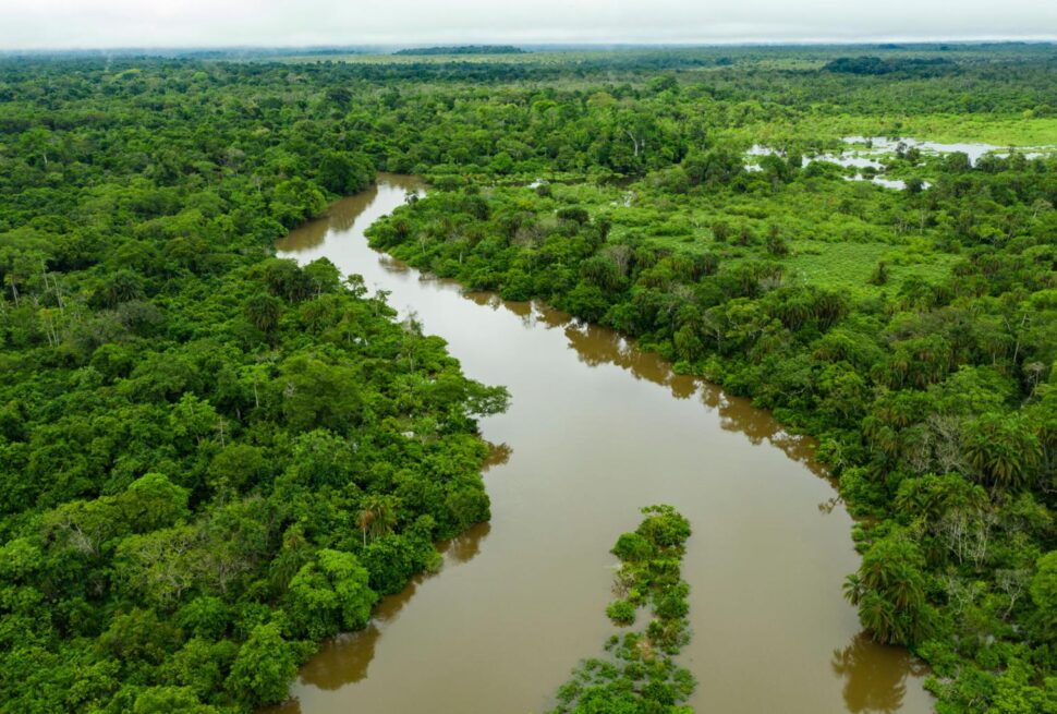 Republic of Congo Brazzaville Gorilla Trekking