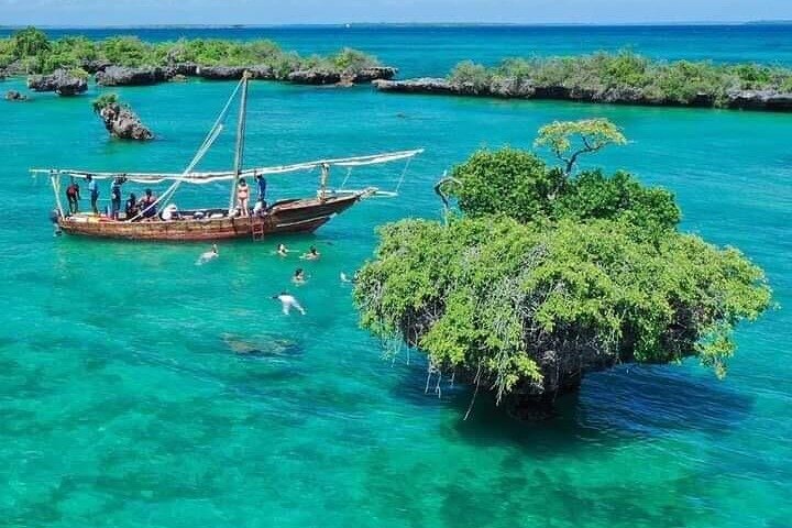 Safari Blue Zanzibar