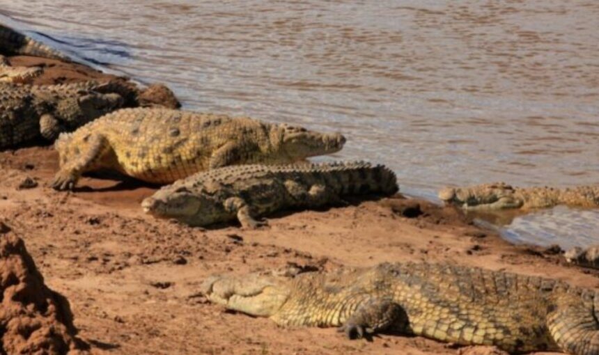 SIBILOI NATIONAL PARK