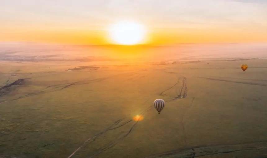 Best Time to Visit Serengeti