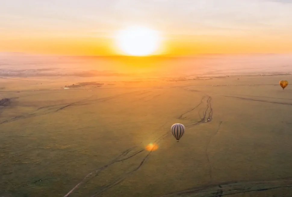Best Time to Visit Serengeti