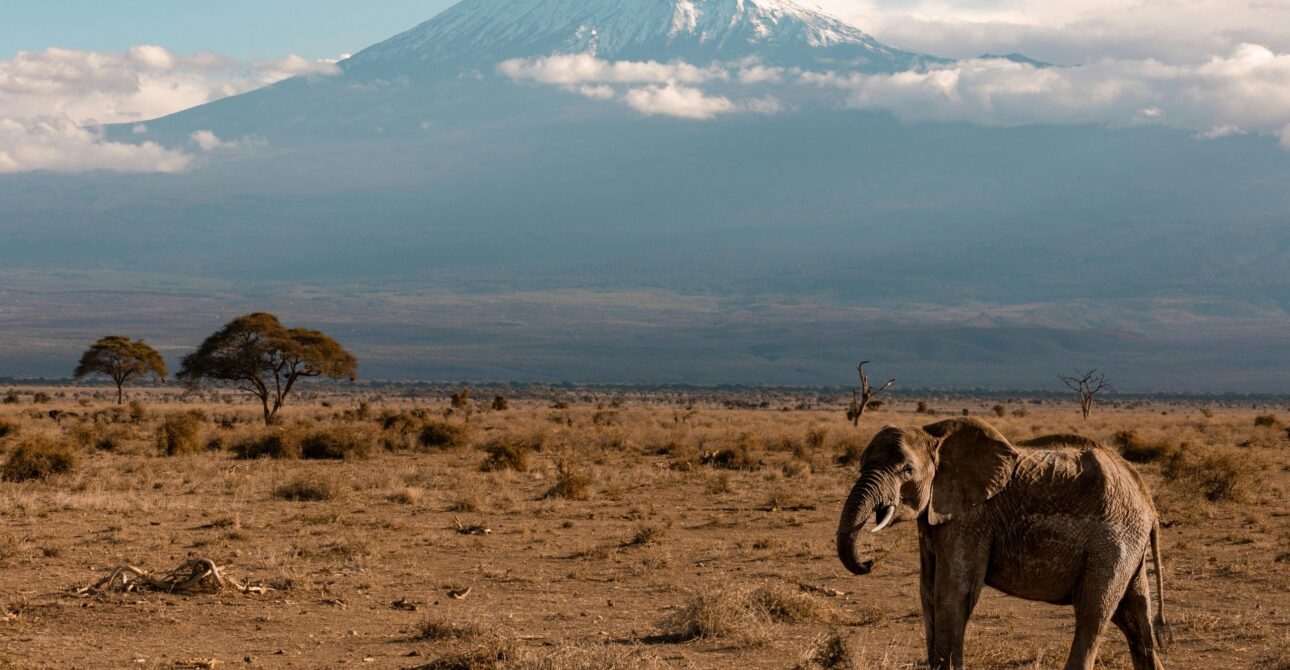 KENYA NATIONAL PARKS AND RESERVES
