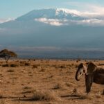 KENYA NATIONAL PARKS AND RESERVES