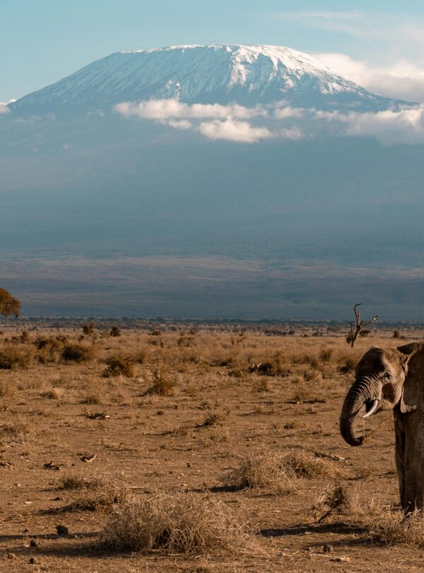 KENYA NATIONAL PARKS AND RESERVES