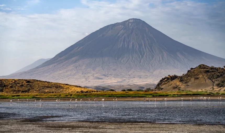 Tanzania Safari Cost Guide 