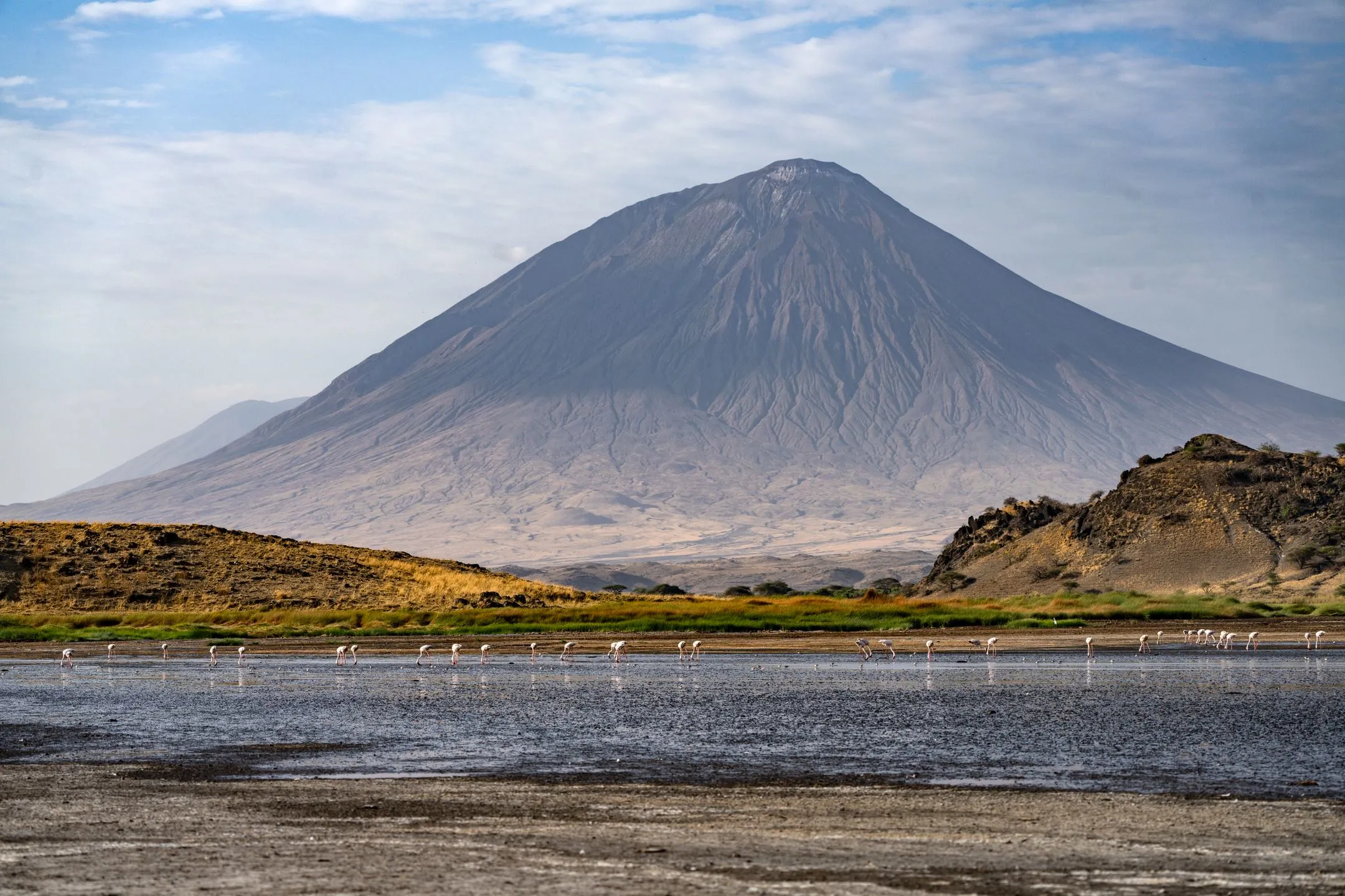 Tanzania Safari Cost Guide