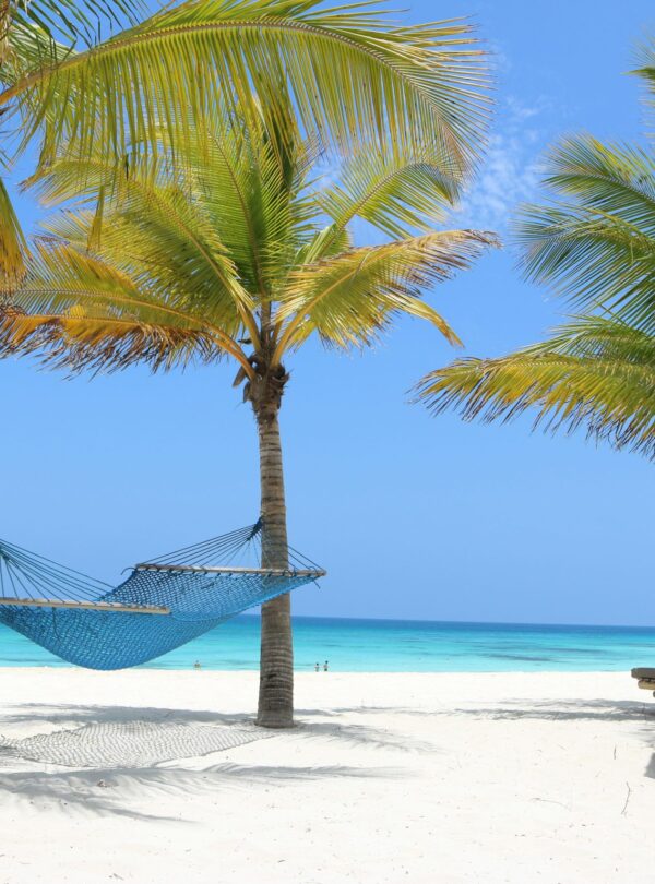 Beach holidays in africa