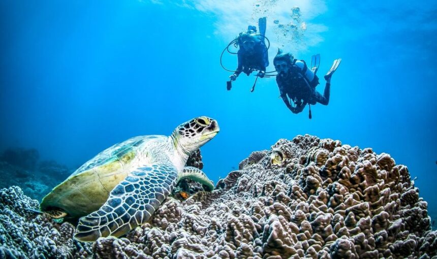 Best time for Diving in Kenya