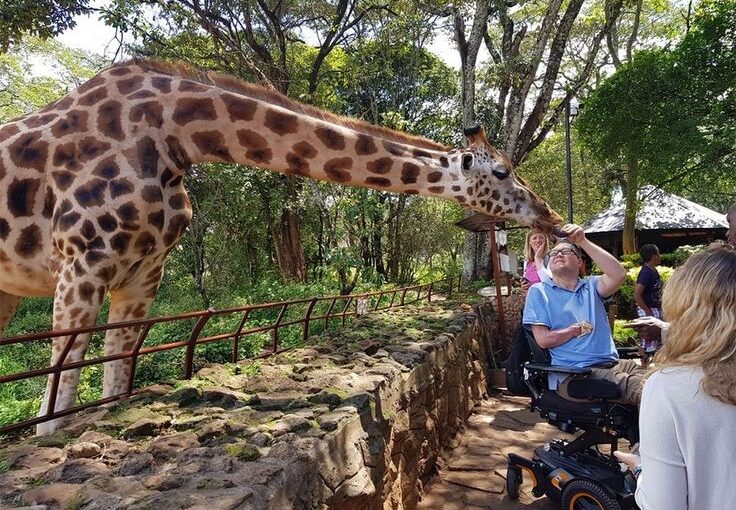 Kenya Safari Cost 2026: Full Price Breakdown (Budget to Luxury Guide)