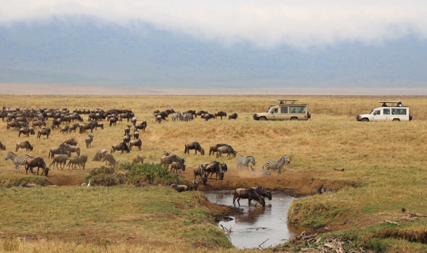 Maasai Mara National Reserve