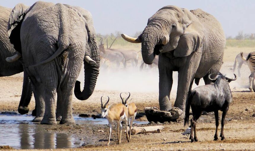 Namibia Destination Overview